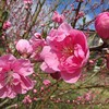 公園工事・・