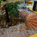 hiery’s blog