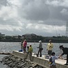 半田店発　亀崎海浜緑地調査 現場レポート