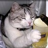 昨日の１ラボの一コマσ(^_^;