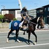 相馬野馬追2024が最高だった！