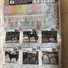 皐月賞2019予想オッズ、出走馬枠！競馬新聞馬サブロー！