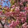 【仕事】会社のために働くな、会社を使ってのし上がれ！ ＊「期待しない」の正しい方法