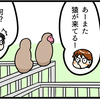 温和な猿現る