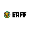 E-1サッカー選手権に関する雑学！