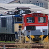 EF64 1001が工場へ移動