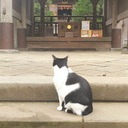 行っておきたい開運神社