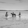 Horse in the Beach