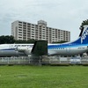 小島麻由美ライブ@所沢航空記念公園