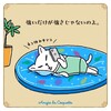  波のプリズム眩しい雲に今年はふたりで来れた海