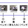 第4回公判前整理手続後記者会見4