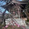 春寒し，春寒（はるさむ，しゅんかん）を詠んだ短歌２　　はる　さむき　やま　の　はしゐ　の　さむしろ　に　むかひ　の　みね　の　かげ　の　より　くる　会津八一　　春さむく痰喘（たんぜん）を病みをりしかど草に霜ふり冬ふけむとし　斎藤茂吉　　春寒の宵の灯かげや衣ずれや暗の香ゆらぐ紅梅の殿　釈迢空　　春寒の朝のひかりの宙にして縄跳びの縄さからい撓（しな）う　山田あき　　現（うつし）身はもとなわびしも春寒く蟻の石匍（は）うを子に見しめをり　吉野秀雄