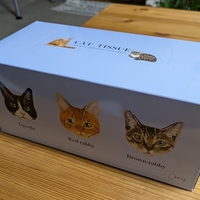 はてにゃ