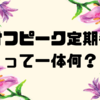 "オフピーク定期券"って一体何？🏢