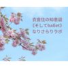 衣食住の《衣》archive blog 衣替えをそろそろしないと・・・(2021年4月6日)(2022年12月11日)【なりラボ】