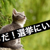 衆議院議員選挙投票日！使える権利は使いましょう、そうだ！選挙にいこう