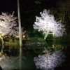 兼六園・金沢城「夜桜花見」ライトアップ2020年【総集編】