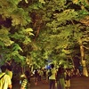 下鴨神社の光の祭2020、混雑状況とその様子【ライトアップ】