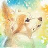 水彩色鉛筆画　カレーの日＆子犬マン