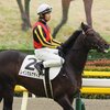 指名馬情報:牡馬第10位