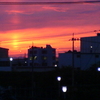 久し振りの夕焼け