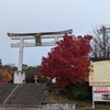 晩秋の京都旅　4（2024/12/13〜12/14）