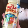 我が家に天使がやって来た