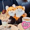 🦊🦊半年記念日＆ヌオーちゃん＆装いの回