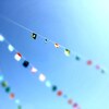 今年も無事に運動会が終わった