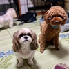 まるで合宿中