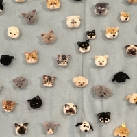 猫ぽんぽん Trikotriさんのアメリカンショートヘアぽんぽんキットを作りました 猫と布山登山
