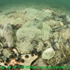 ワイドレンズなのに露出倍数を考えなければならない難しさorz②Nauticam マクロワイドコンバージョンレンズ MWL-1