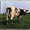 ATOM HEART MOTHER