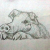 らくがき描いてみた　ぶー