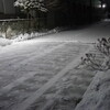 月夜の除雪