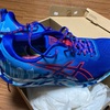 今季の勝負シューズ　ASICS Noosa TRI 13