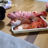 お魚ご対面