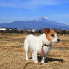 キンさんぽ 大場川～狩野川編