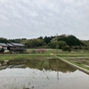たけのこ掘りしました