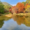 みくるま池（兵庫県神戸）