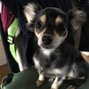 まろにー818日目