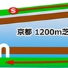 《2020年 GⅢシルクロードステークス データ分析、人気馬見解》