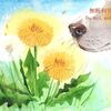 水彩画　お鼻とお花