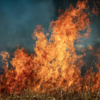 山火事