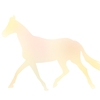 【追い切り注目馬】【札幌日刊スポーツ杯】【すずらん賞】【千歳特別】他　2025/8/30(土) 札幌競馬　中間圧倒的