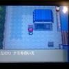 9周年から始めるポケモンプラチナプレイ日記(まんげつじま編)