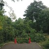 台風の爪痕
