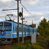 近江鉄道 2024　11/26-27