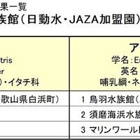 ラッコがいなくなった動物園水族館は ラッコ飼育実績のある施設まとめ アリエスコム Ariescom