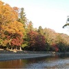 週末の紅葉見頃はここ！関西編・・・